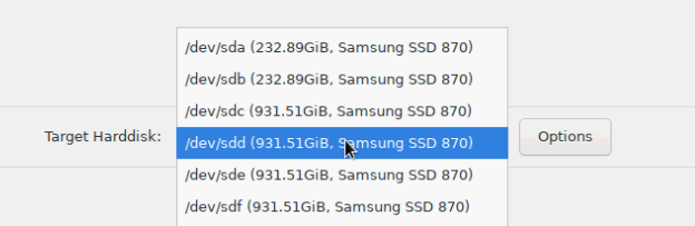 showing physical disks in proxmox installer